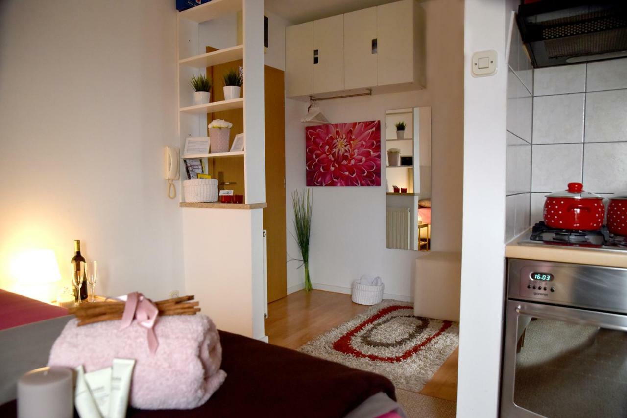 Studio Apartman D Daire Sesvete Dış mekan fotoğraf