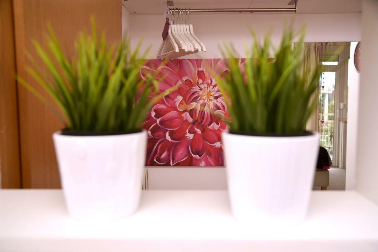 Studio Apartman D Daire Sesvete Dış mekan fotoğraf
